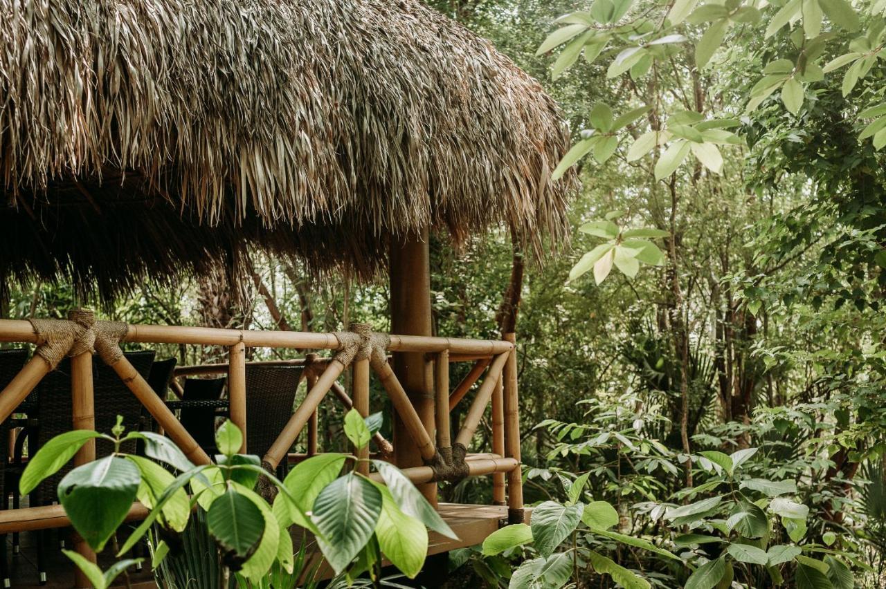 Selva Teenek Eco-Park Ciudad Valles Εξωτερικό φωτογραφία